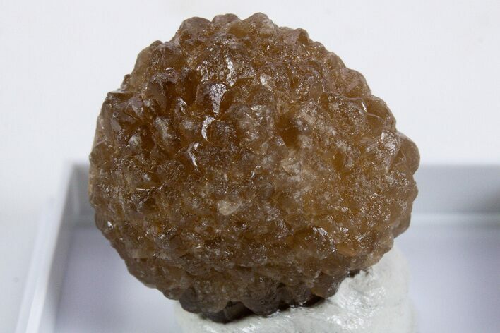Citrine Quartz Star Pseudomorph after Ikaite - Morocco #345827